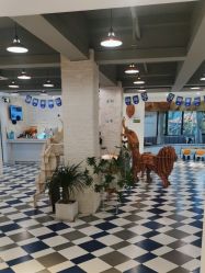 -宝贝天空儿童摄影(花溪店)