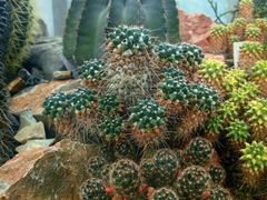 -国家植物园南园