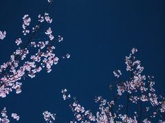 -钱塘江