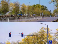 -洲头咀公园