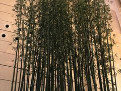 -上海雅居乐万豪侯爵酒店