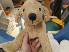 -宜家家居(高新商场店)