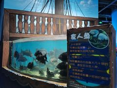 -沙沙哗啦海洋馆(华宇百花谷店)