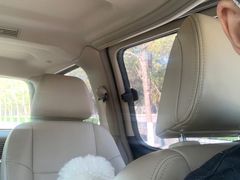 -纳吉亚猫专科动物诊疗中心(蒋宅口分院)