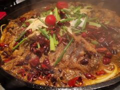 -老板恋上鱼(高新万达店)