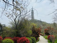 -巢湖姥山岛