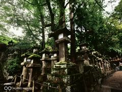 -奈良公园