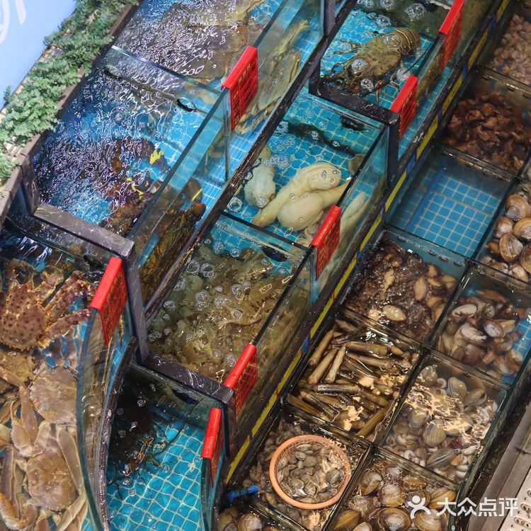 上海海鲜餐厅🐟来一顿海鲜盛宴吧～