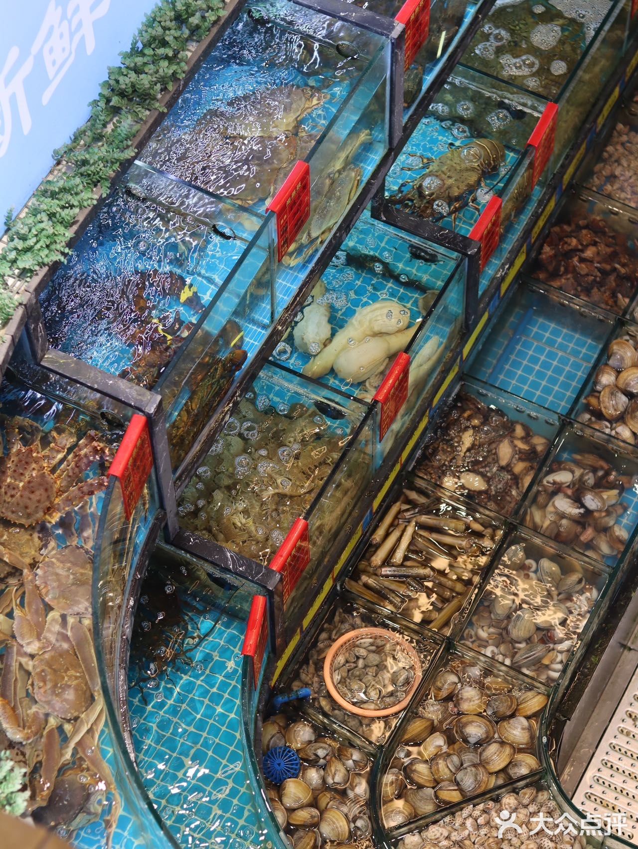 上海海鲜餐厅🐟来一顿海鲜盛宴吧～