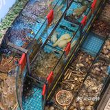 上海海鲜餐厅🐟来一顿海鲜盛宴吧～