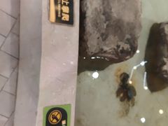 -首创奥特莱斯(北京店)