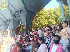 -西双版纳原始森林公园