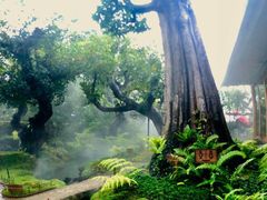 -Chom Cafe and Restaurant