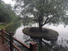 -采石矶景区