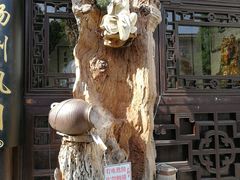 -何园
