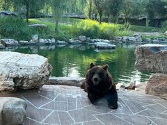 -北京野生动物园