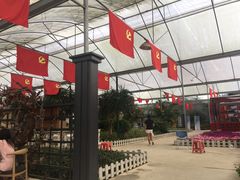 -广东花都香草世界旅游度假区