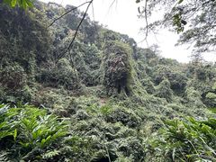 -广州市白云山风景名胜区