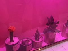 -奈雪的茶(湖滨银泰in77C区PRO店)