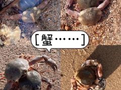 -南汇新城海滩