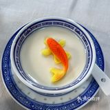 好逼真的鱼