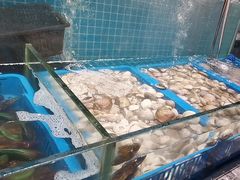-曼格活海鲜·牛排自助(光明蓝鲸店)