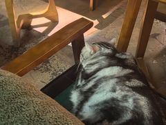 -咖法森林·咖啡  酒吧(天河店)