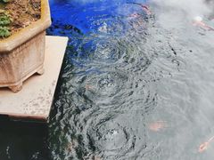 -顺德了能馆(虎门店)