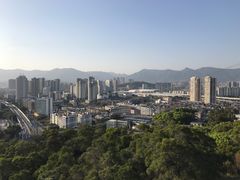 景点-金鸡山公园