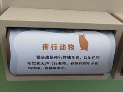 -陕西自然博物馆