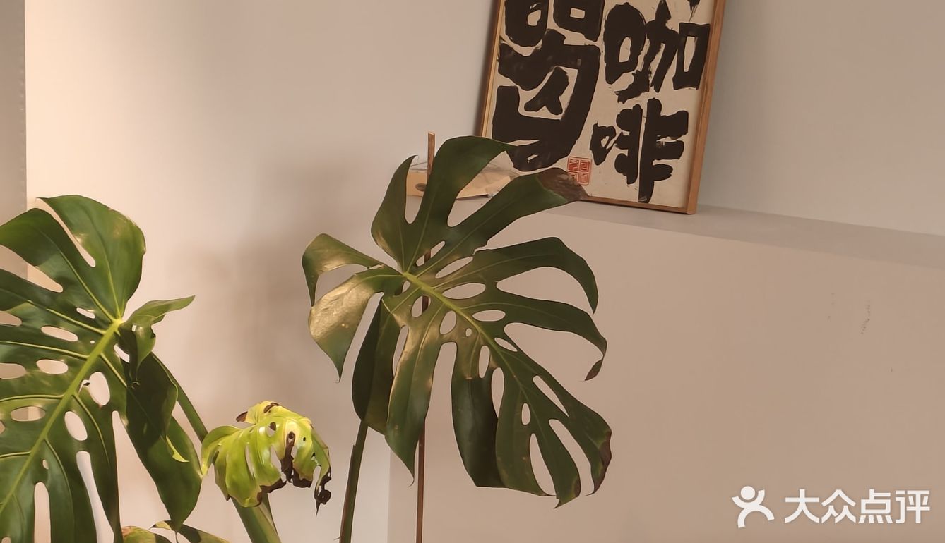 🌟鹊什咖啡，解锁午后小确幸的秘密花园🌸