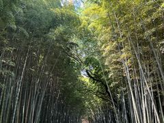 -同里国家湿地公园