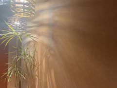 -LANN I 蘭·泰式古法按摩(长宁来福士东八区店)