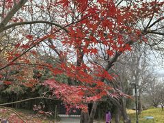 -丰台花园