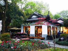 -杭百味·大众精选杭帮菜(西湖音乐喷泉店)