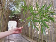 -龙潭水乡