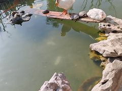 -龙华寺