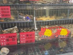 -大胡子海鲜·天津菜·砂锅烧烤(五大道创始店)