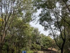 -云岗森林公园