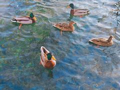 -水磨沟公园