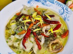 -OLD TREE老树咖啡·西餐厅(台山人工湖店)