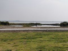 -七的湖·晚芳亭·阳澄湖农家菜·大闸蟹(莲花岛店)