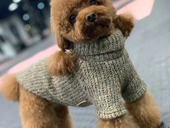 -FIGHTMAN格斗俱乐部(长宁临空店)