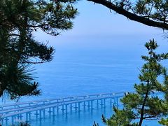 -星海湾跨海大桥