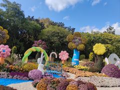 -上海共青森林公园