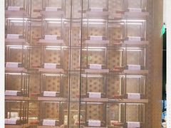-红雀围·海鲜火锅(陆家嘴中心店)