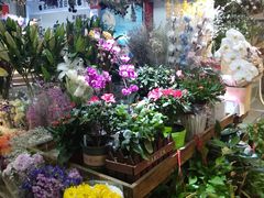 -奥士凯物美(新兴里店)