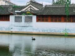 -水绘园