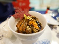 -诺莱仕游艇会