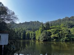 -滴水岩森林公园